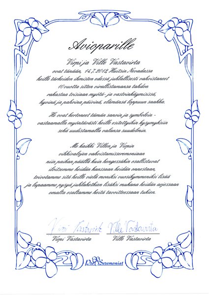 Product image of Aviolupausten uudistaminen