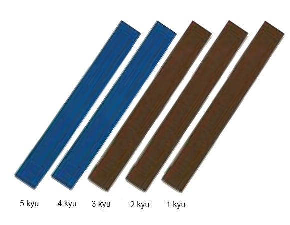 Product image of Vyökoemaksu 5.kyu - 1.kyu