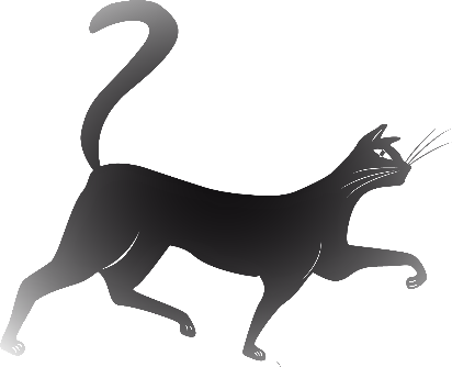 City Tours, Safaris, Transportation Services and Airport Transfers.