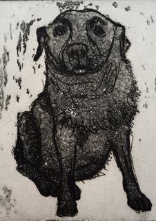 Product image of  Blackie