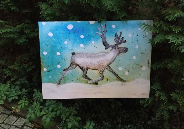 Product image of  Juokse porosein. Run my reindeer.