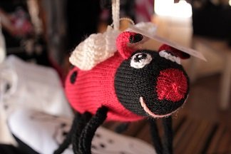 Product image of  Myönteinen hyönteinen leppäkerttu
