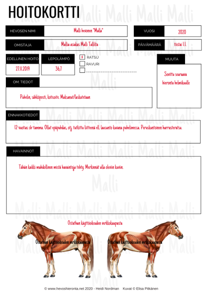 Product image of  Hoitojen seurankortti