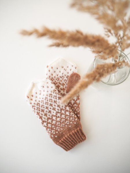 Product image of  Kuura-lapasohje