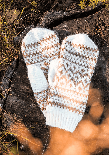 Product image of  Tunturi-lapasohje