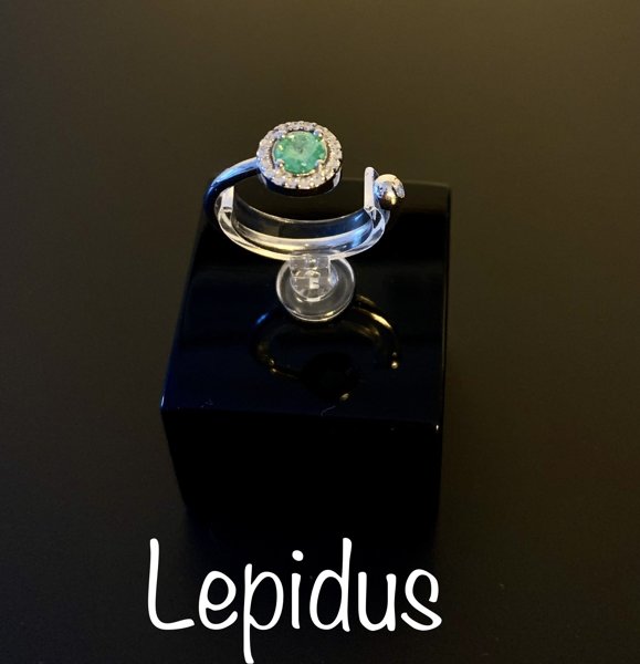 Product image of Sormus