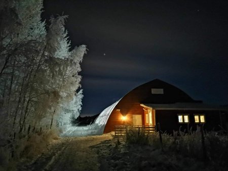 Nappilan tila - Minnan paimenkoirakoulutus