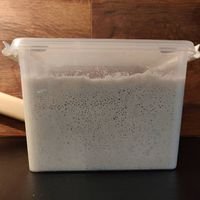 Product image of  Makea vehnäjuuri George Clooni