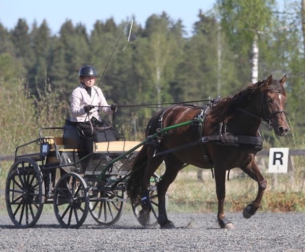 Product image of  Ajamisen tutustumiskurssi (3 krt)