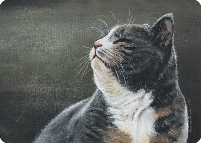Kev n Tuoksu taidekortti 105 X 148 Mm Merja Sirvi Art