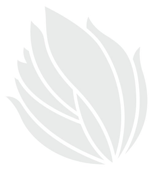 Product image of  Lahjakortti tietylle summalle