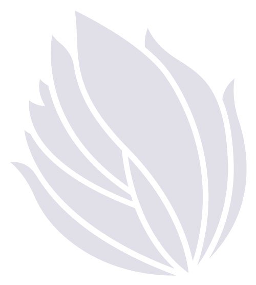 Product image of  Lahjakortti tietylle summalle