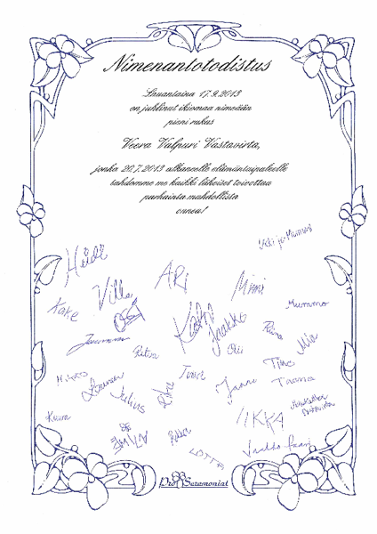 Product image of Nimenantotodistus