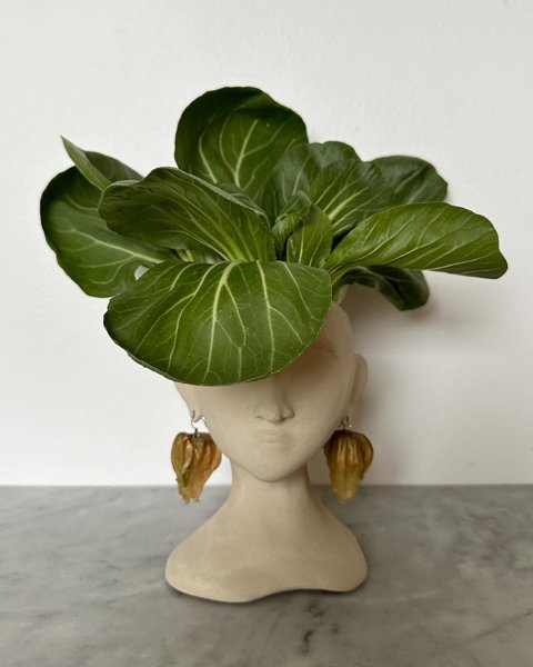 Product image of Hanna