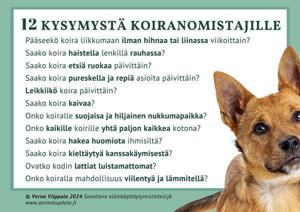 Product image of  MAKSUTON 12 kysymystä koiranomistajille
