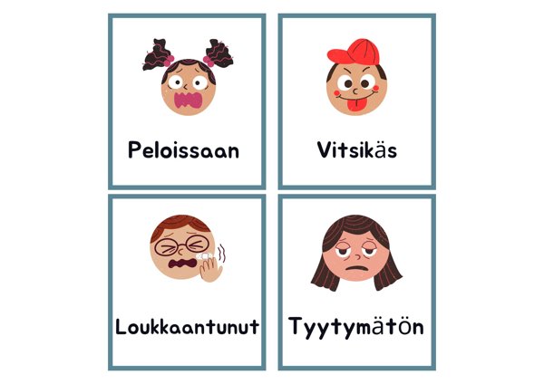 Product image of  Tunnekortit