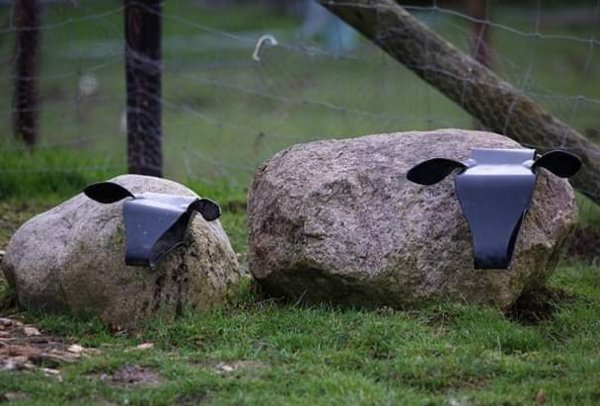 Product image of  YKSÄRI 30 min - torstai 6.2. klo 18.00-18.30