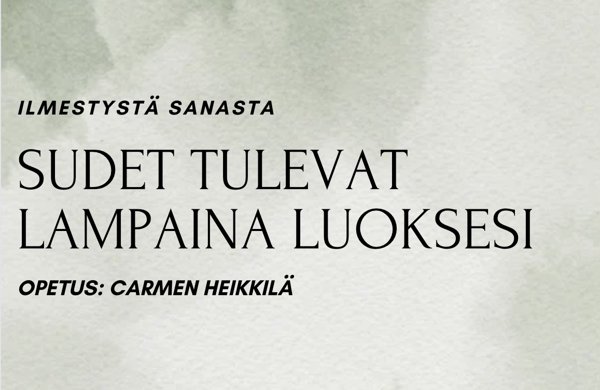 Product image of  Rk 142. Vältä raatelevia susia