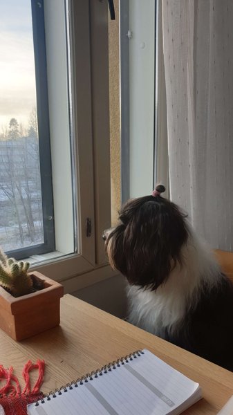 Product image of  Seurantatapaaminen, etänä