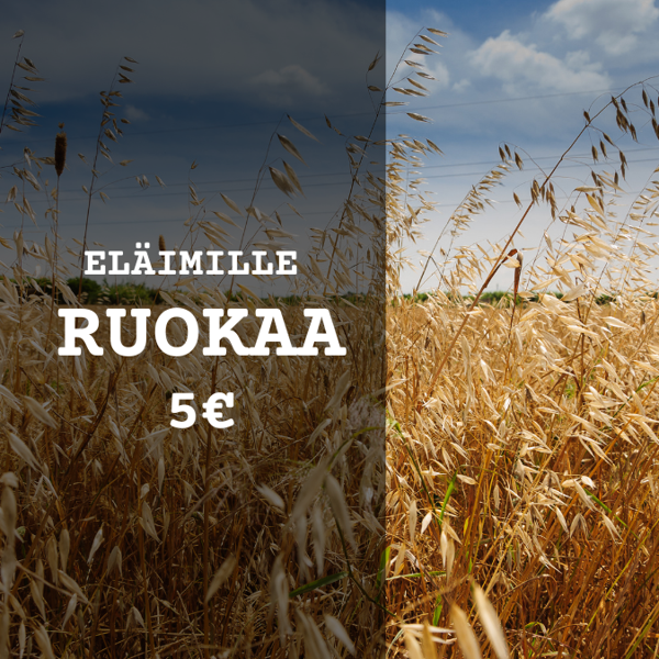 Product image of  Eläimille evästä