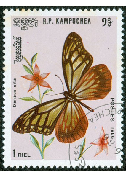 Product image of  Postikulut siemenille, 1-10 pussia