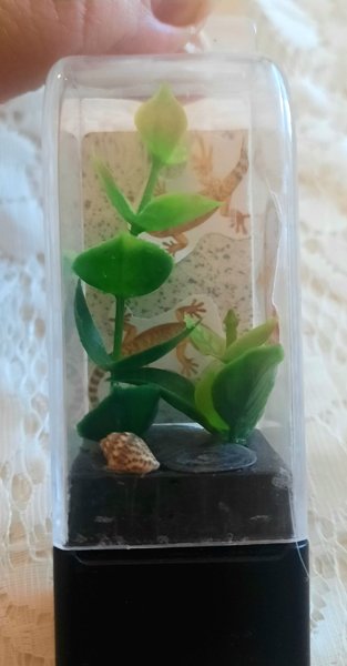 Product image of  TERRAARIO LISKO