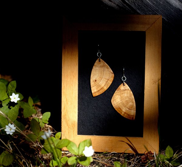 Product image of  Yökehrääjä