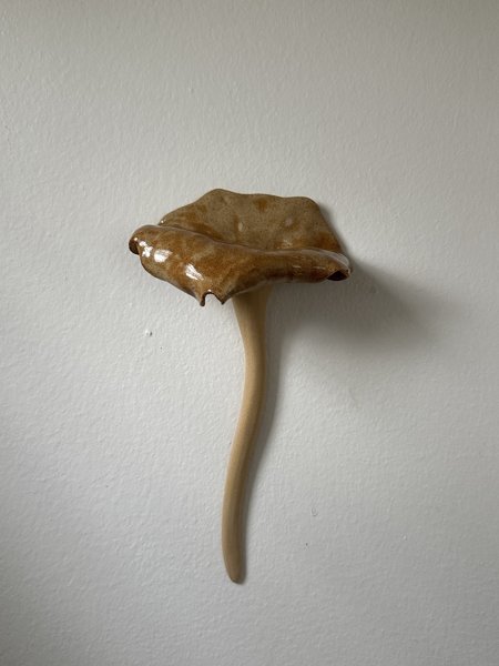 Product image of Supparelli