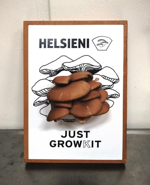 Product image of  Just Growkit = the easiest mushroom kit for beginners!
