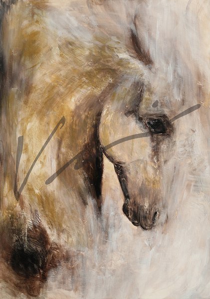 Product image of  Postikortti "Sisin"