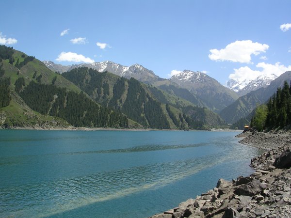 Product image of  Yin (75 min) x 1 Roihuvuori