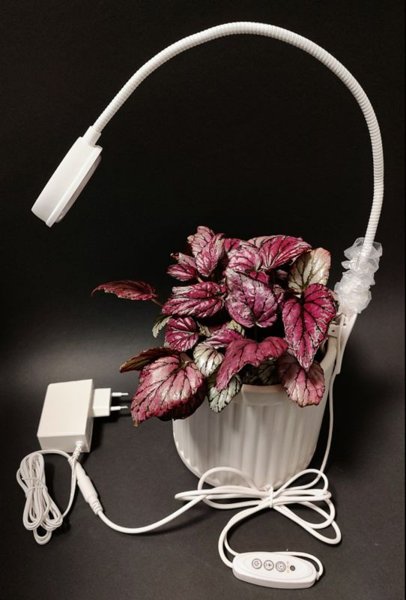Product image of  Sansi ruukku-kasvilamppu 10W ajastimella