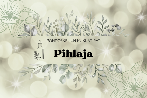 Product image of  Pihlaja -kukkatipat