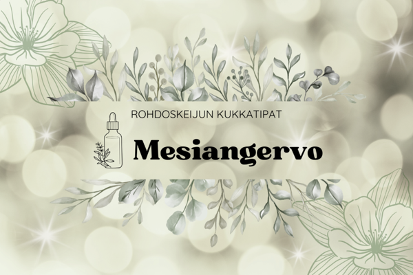 Product image of  Mesiangervo -kukkatipat