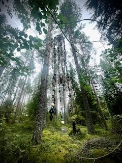 Product image of Iloisten ajatusten voimaannuttava sieppari