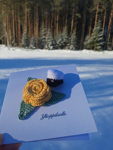 Product image of  Ylioppilaskortti