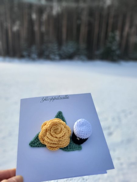 Product image of  Ylioppilaskortti