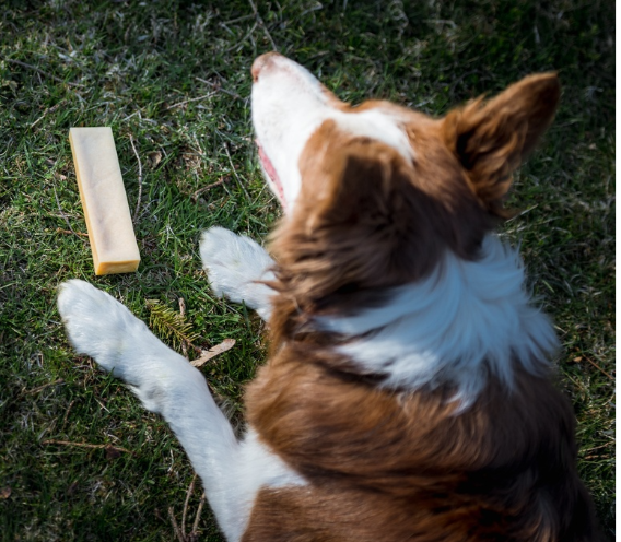 Product image of  Effe Chews juustoluu L, 14cm