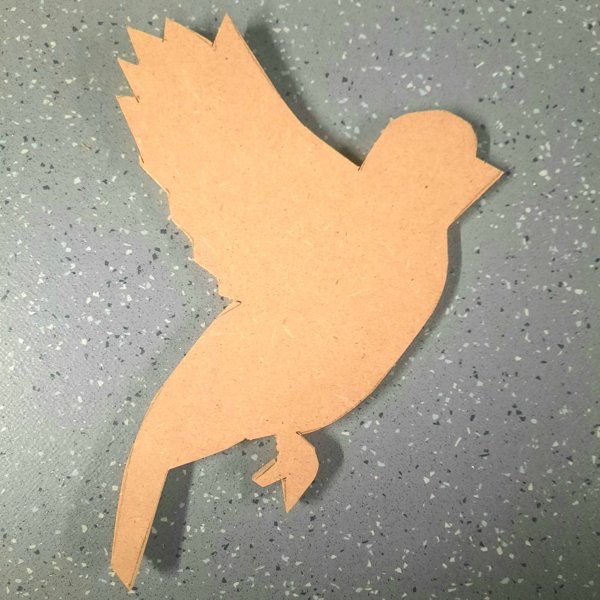 Product image of  LINTUKUVIO ASKARTELUUN