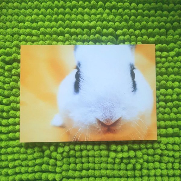 Product image of  PUPU KORTTI