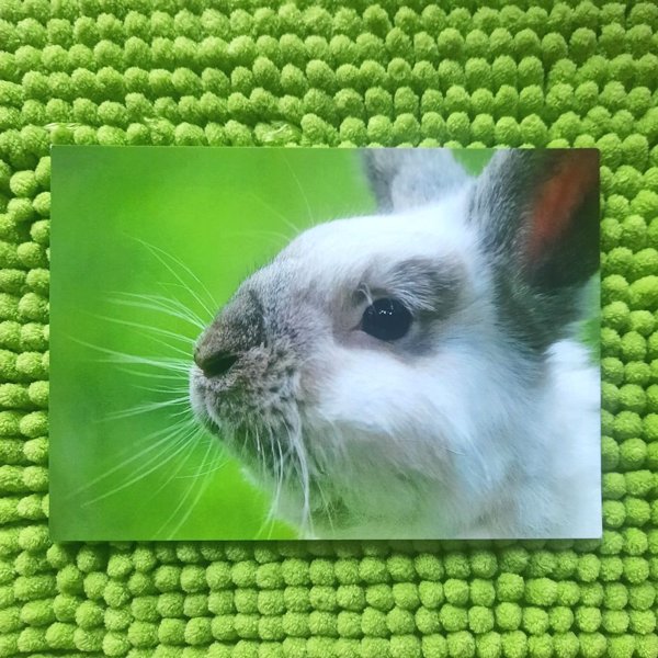 Product image of  PUPU KORTTI