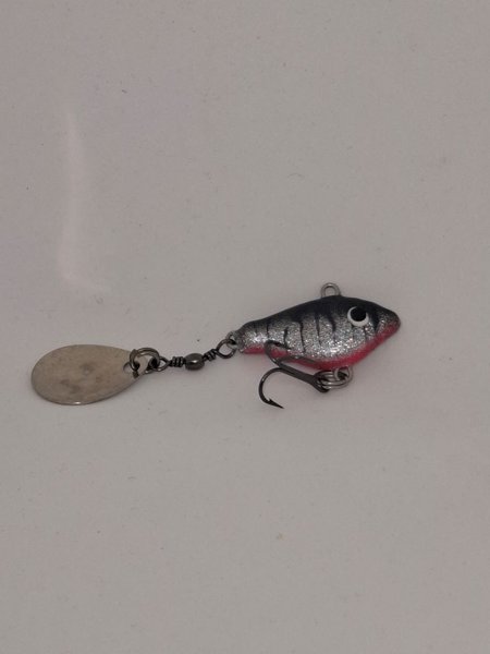 Product image of  Spintail fegis