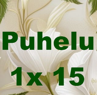 Product image of  Puhelu 15 min
