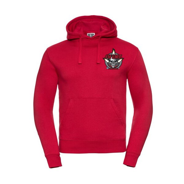 Product image of  Hoodie small logo front burnout pic back