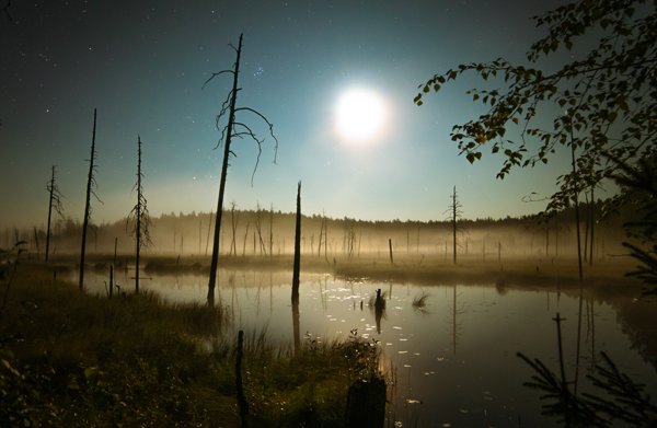 Product image of  Iso-Palonen full day hike