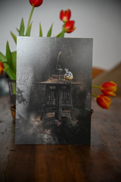 Product image of  "Light I am"
