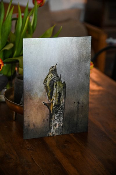 Product image of New perspective