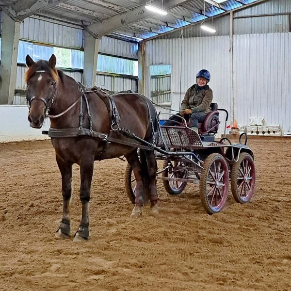 Product image of  Hevosen vuokraus itsenäisesti (8 kertaa/kk)