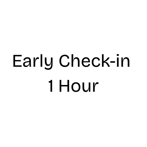 Product image of  Early Check-in 1 Hour