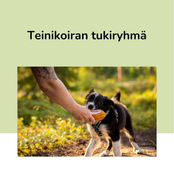 Product image of  Teinikoiran tukiryhmä starttaa 4.8.